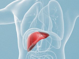 Visiting a Hepatologist in Dubai: Key Points to Understand