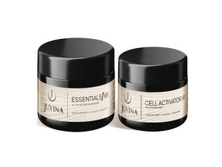 Essentials I XR System Guide: Features, Setup, and Basic Use