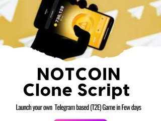 Minimal Cost, Maximum Impact: Notcoin Clone Script for Your Business