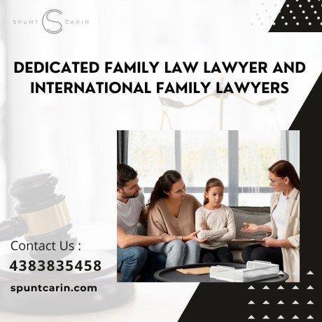 dedicated-family-law-lawyer-and-international-family-lawyers-at-spunt-carin-big-0