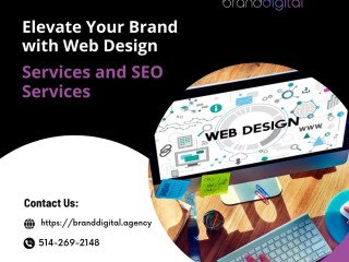 Elevate Your Brand with Web Design Services and SEO Services