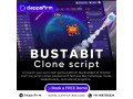 bustabit-clone-script-profitable-launchpad-for-crash-gaming-startups-small-0