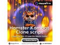 build-your-own-tap-to-earn-game-like-hamster-kombat-with-our-clone-script-small-0