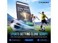 turn-sports-passion-into-profit-with-a-betting-clone-script-small-0