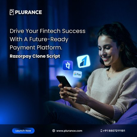turn-your-payment-idea-into-reality-with-razorpay-clone-script-big-0