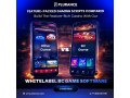 ready-to-deploy-bc-game-clone-app-for-high-profit-gaming-startups-small-0