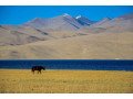 ladakh-package-tour-from-kolkata-small-0