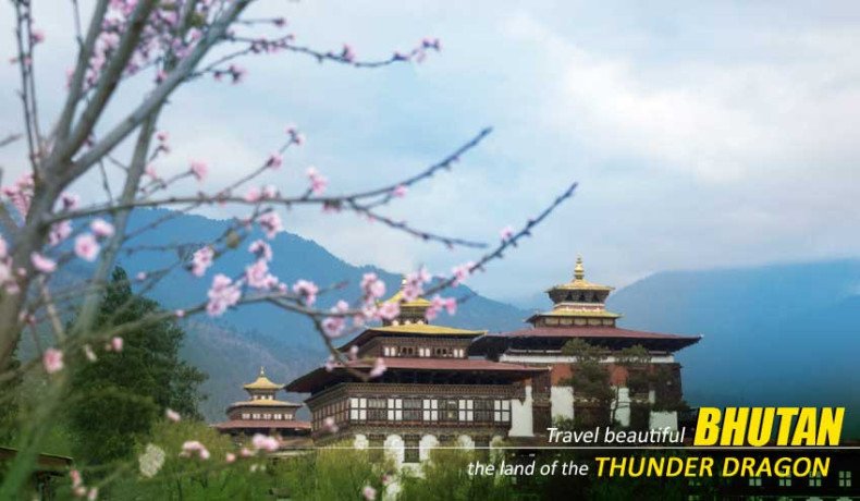 amazing-bhutan-package-tour-from-surat-with-naturewings-big-2