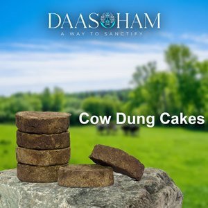 holy-cow-dung-cake-in-visakhapatnam-big-0