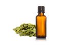 pumpkin-seed-oil-manufacturer-italy-small-0