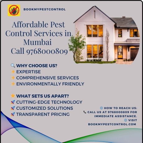 affordable-pest-control-services-in-mumbai-call-9768000809-big-0