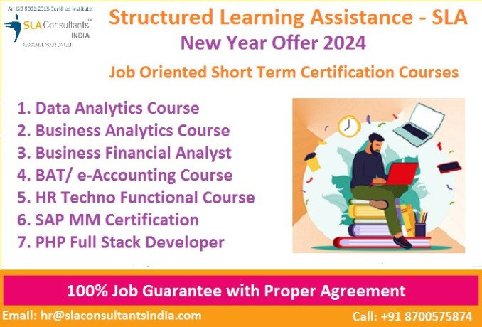 data-analyst-courses-delhi-with-free-python-by-sla-institute-in-delhi-ncr-capital-market-analytics-100-placement-learn-new-skill-of-24-big-0