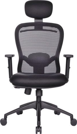 meshback-chair-manufacturer-in-delhi-big-0