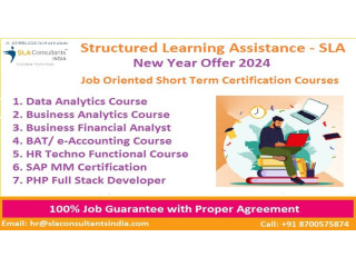Business Analyst Course in Delhi, with Free Python+Power BI by SLA Institute in Delhi, NCR, Investment Banking Analytics,100% Placement