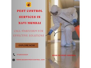 Pest Control Services in Navi Mumbai - Call 9768000809 for Effective Solutions