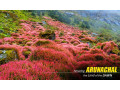 delhi-to-arunachal-explore-the-unseen-paradise-small-0