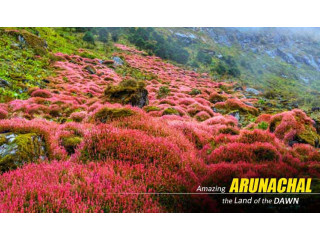 Delhi to Arunachal: Explore the Unseen Paradise