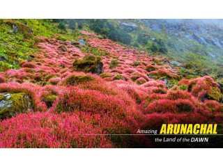 Arunachal package tour from Guwahati - BEST DEAL | BOOK NOW!