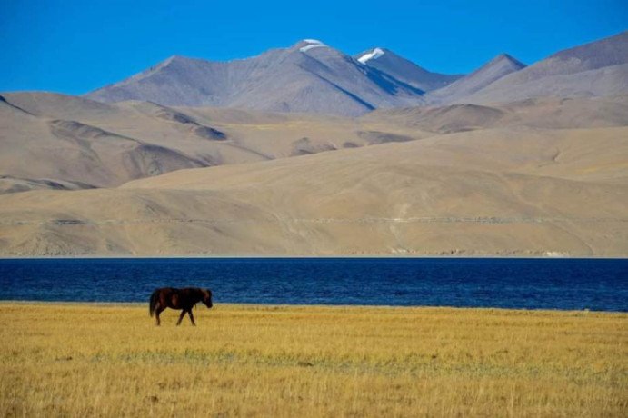 cheapest-ladakh-tour-package-from-kolkata-big-0