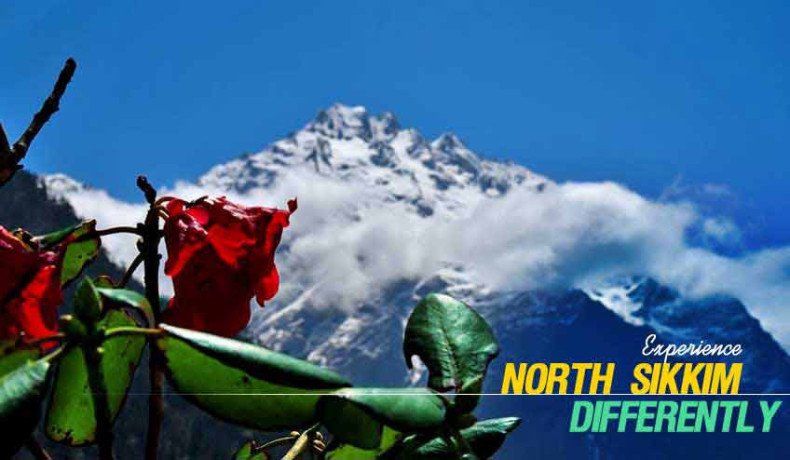 thrilling-north-sikkim-tour-packages-2-nights-3-days-in-2024-summer-holidays-big-0