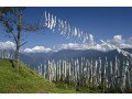 amazing-pelling-ravangla-namchi-tour-packages-in-2024-by-naturewings-small-1