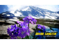 customized-sikkim-gangtok-tour-packages-at-the-best-rate-by-naturewings-small-1