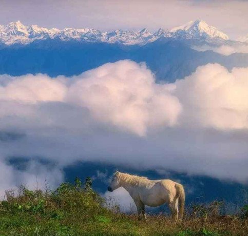 arunachal-pradesh-tour-package-with-naturewings-immerse-yourself-in-natures-paradise-big-0