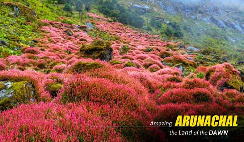 arunachal-pradesh-tour-package-with-naturewings-immerse-yourself-in-natures-paradise-big-1