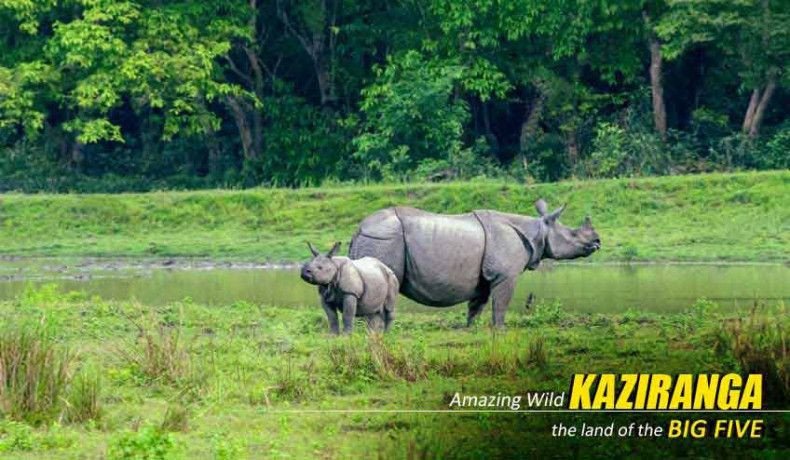 spot-rhinos-discover-tribal-culture-unforgettable-kaziranga-majuli-guwahati-tour-package-big-0