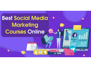 Social media courses in Bangalore | Learn Digital Academy