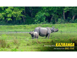 Into the Wild:Kaziranga Manas Majuli Pobitora Tour Package