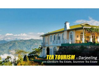 Experience a Wonderful Tea Tourism in Darjeeling by NatureWings Holidays
