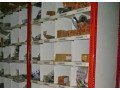 pigeon-hole-rack-manufacturer-in-delhi-small-0