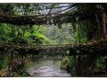 grab-assam-meghalaya-arunachal-pradesh-package-tour-from-naturewings-small-0