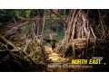 grab-assam-meghalaya-arunachal-pradesh-package-tour-from-naturewings-small-2