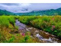 best-offer-on-arunachal-package-tour-from-bangalore-small-3