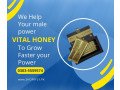 vital-honey-price-in-hyderabad-0303-5559574-small-0