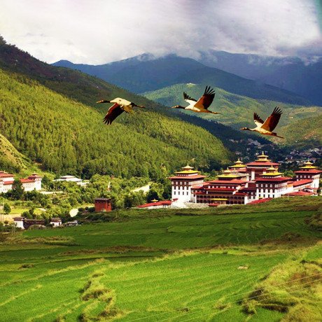 book-a-bhutan-package-tour-from-mumbai-with-the-best-deal-for-2024-big-0