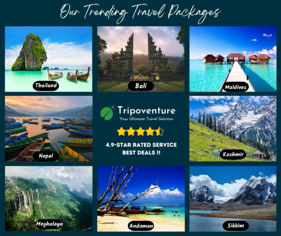 book-our-best-holiday-packages-tripoventure-big-0