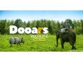 dooars-tour-package-discover-natures-serenity-with-tripoventure-small-0