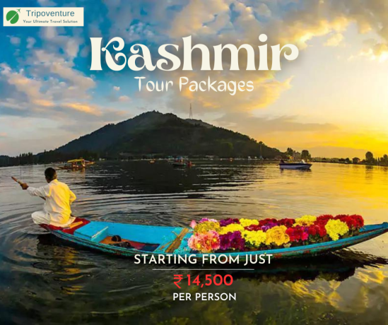 celebrate-bliss-in-the-valley-unveil-the-best-kashmir-tour-packages-with-tripoventure-big-0