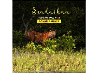 Sundarban Package Tour with Hotel Sonar Bangla in 2024