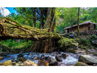 Wonderful Shillong Meghalaya Cherrapunji Tour Packages - Get 2024 Spl Offer