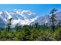 your-dream-sikkim-gangtok-package-tour-in-summer-is-now-here-naturewings-holidays-small-0