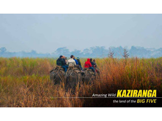Kaziranga Package Tour Booking from Guwahati with NatureWings