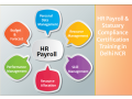 hr-payroll-coaching-classes-in-delhi-sla-classes-sap-hcm-certification-in-gurgaon-hr-course-in-noida-2024-offer-small-0