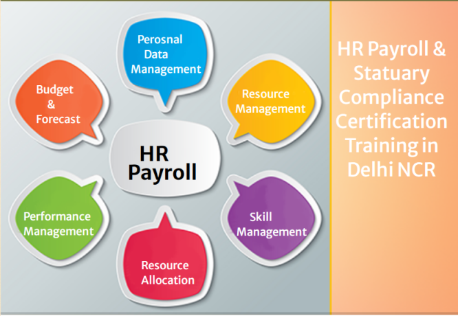 hr-payroll-coaching-classes-in-delhi-sla-classes-sap-hcm-certification-in-gurgaon-hr-course-in-noida-2024-offer-big-0