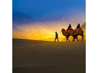 Book Ladakh Group Tour Packages at the Best Price - NatureWings Holidays