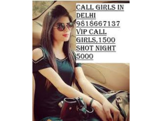 Low Rate Call Girls Service Saket (DELHI) 9818667137✔️(New Delhi)