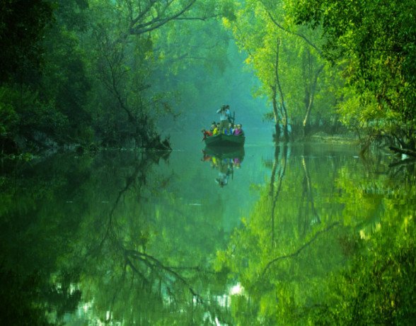 experience-the-thrill-get-your-sundarban-tour-package-with-hotel-sonar-bangla-now-big-1